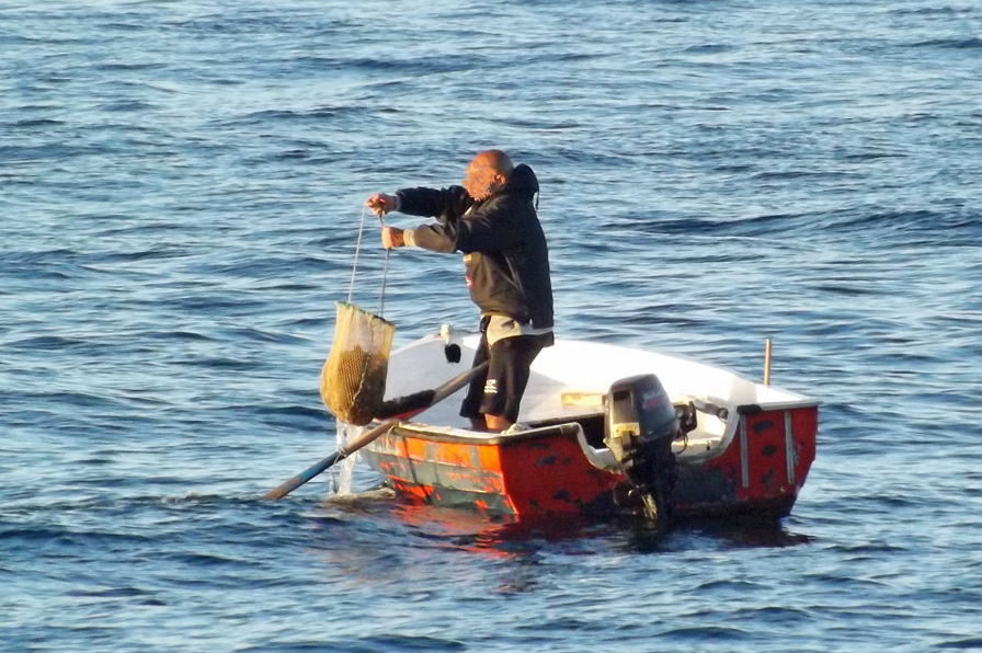 Pesca di frodo